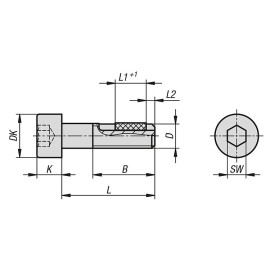 K0869 Винты DIN 912 с цилиндрической головкой и стопором