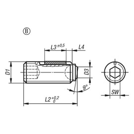 K0666 Упоры подвижные на 9° резьбовые с лыской и стопором