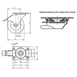 K1790 Ролики гигиеничные с корпусом из нержавеющей стали